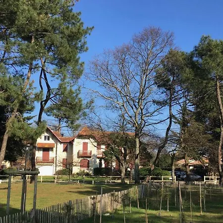 Ermitage Appartement